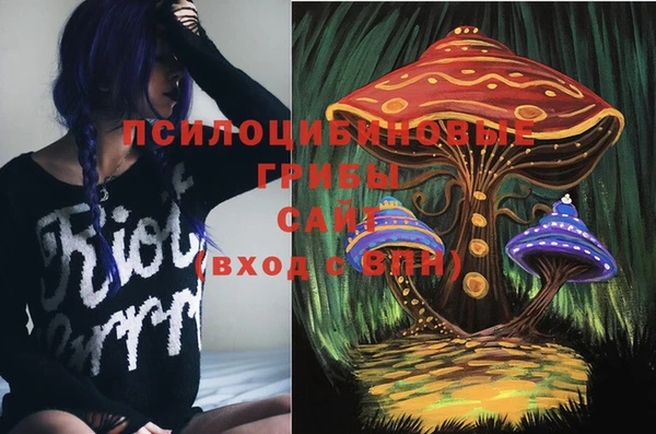 дживик Арсеньев