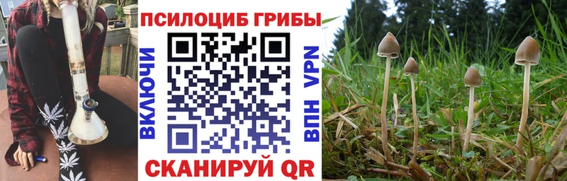 Псилоцибиновые грибы ЛСД  Кондрово 